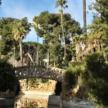 Exploradors al parc de Marianao, amb La Rutlla