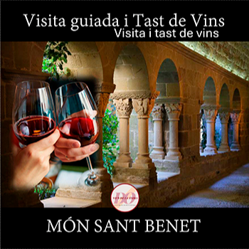 Visita guiada i tast de vins Monestir Món Sant Benet