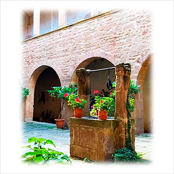 Visita guiada i tast de vins Castell de Balsareny