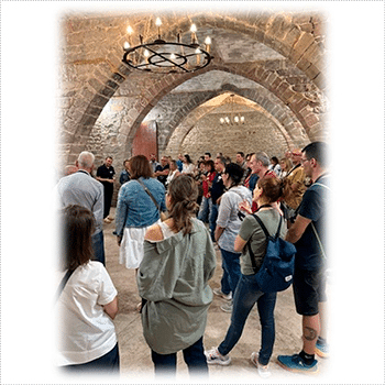 Visita guiada i tast de vins Castell de Balsareny