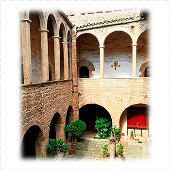 Visita guiada i tast de vins Castell de Balsareny