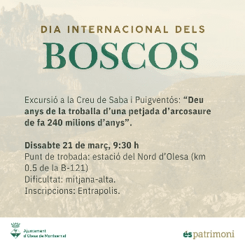Excursió a la Creu de Saba i Puigventós: Deu anys de la troballa d'una petjada d'arcosaure de fa 240 milions d'anys (Dia Internacional dels  Boscos)