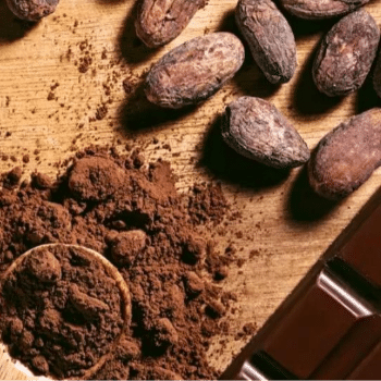 Tast Vilantí 2026 - Maridatge musical de xocolates artesanes