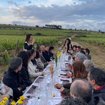Tast Valentí 2026 - El millor de cada casa: una selecció de productes singulars i únics