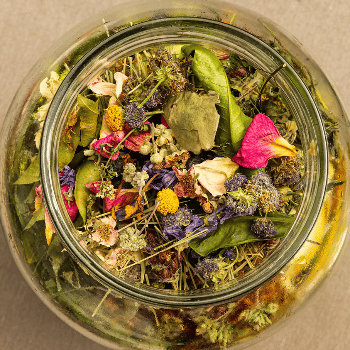 Herbes remeieres del territori: taller d’elaboració de ratafia
