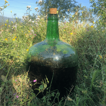 Herbes remeieres del territori: taller d’elaboració de ratafia