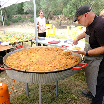 Aplec del Pla de Sant Joan 2026 + Mercat de Calaf