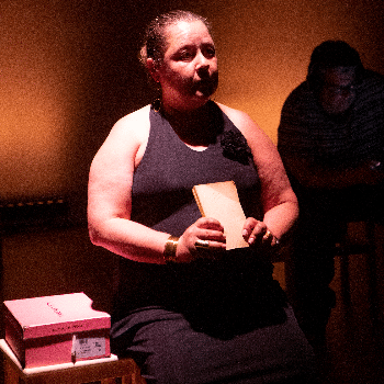 XAVIER BOBÉS, CIA OLVEIRA SALCEDO I COMPANYIA L'ALTRE FESTIVAL: Llums i ombres