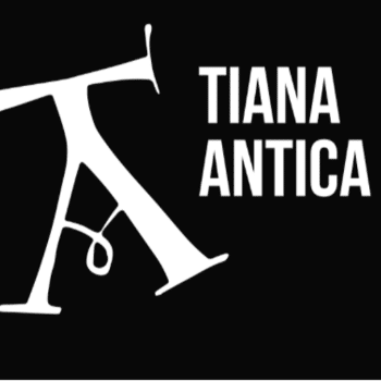 TIANA ANTICA 2026 - CONCERTS GRUPS EMERGENTS TIANA ANTICA