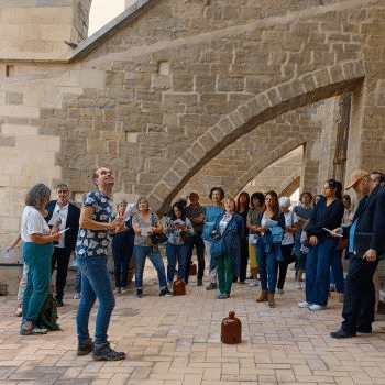 Visita comentada i tocs manuals de campanes de la Seu