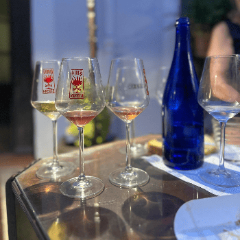 VINS AMB KRESTA 2026, EDICIÓ PUNXADISCOS RURALS