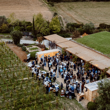Donem la benvinguda a l'estiu amb un vespreig entre vinyes!
