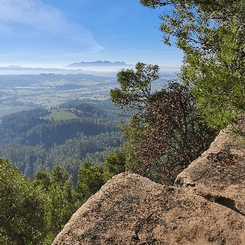 Sortida geològica a Roques Albes: fang i estanys d'una Catalunya tropical
