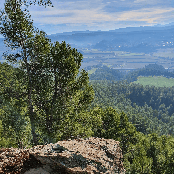 Sortida geològica a Roques Albes: fang i estanys d'una Catalunya tropical