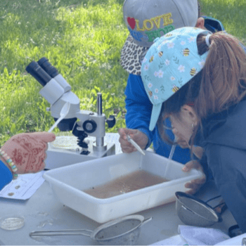 Qui viu al riu?  Analitzem l'aigua del Llobregat