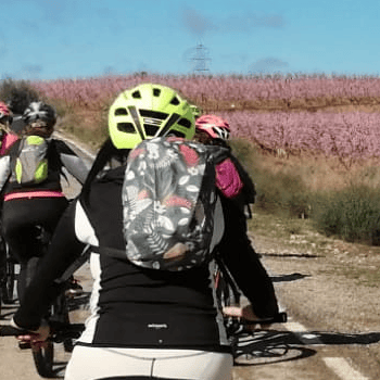 RUTES EN BICICLETA  · PEDALANT ENTRE FRUITERS