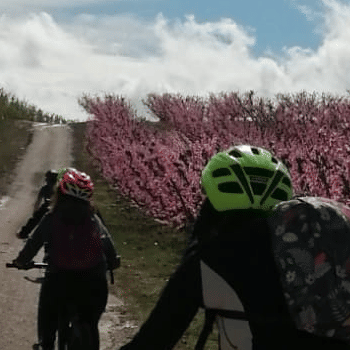 RUTES EN BICICLETA  · PEDALANT ENTRE FRUITERS
