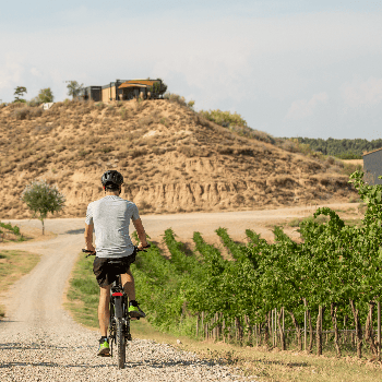 RUTES EN BICICLETA  · PEDALANT ENTRE VINYES