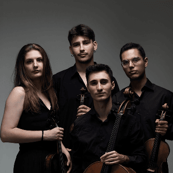 Nits Musicals.  Quartet Vivancos