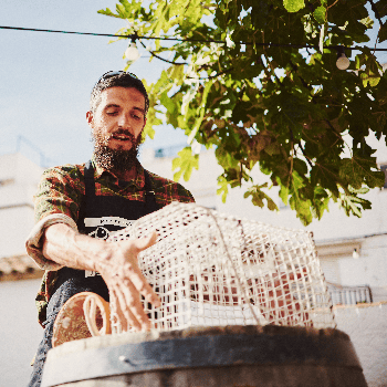 Camins de Malvasia i Mar a Aiguadolç // Maridatge itinerant