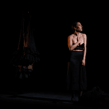 Ana Morales - Ciutat Flamenco