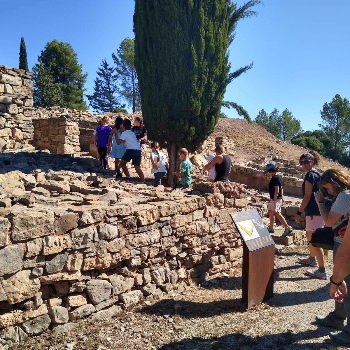 Taller d'arqueologia al poblat ibèric del Cogulló