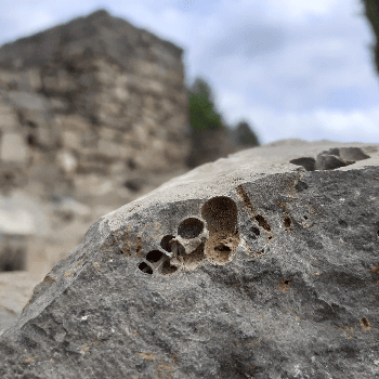 Taller d'arqueologia al poblat ibèric del Cogulló