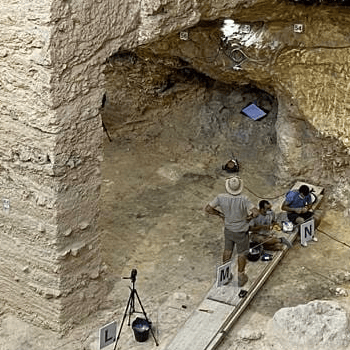 JEP 2020 - Visita guiada 12.45h  al jaciment de l'Abric Romaní - NEAN Parc Prehistòric de Capellades