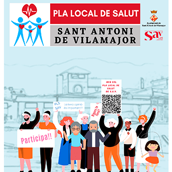 Pla Local de Salut- Sessió Sector Professional