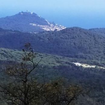 Reunió de presentació del Pla d'Ordenació Forestal de Blanes