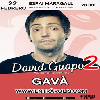 #Quenonosfrunjanlafiesta2 -DAVID GUAPO-