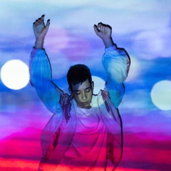 Teatre professional: Cavallet de mar o el peix invisible
