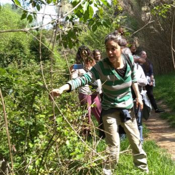 Passejada botànica. Usos i virtuts de les plantes.