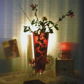 ROSA - FESTIVAL FORA DE LLOC