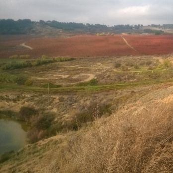 Ecodescoberta. Què passa sota terra per a que creixin els cultius?- Ecoactivitats 2026