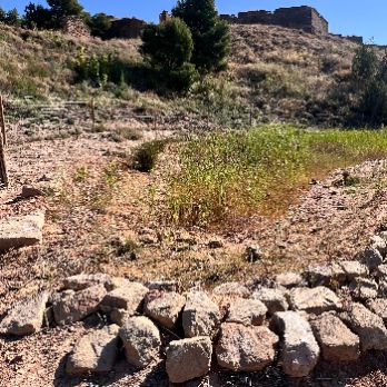 Ecodescoberta. Les basses naturalitzades. - Ecoactivitats 2026