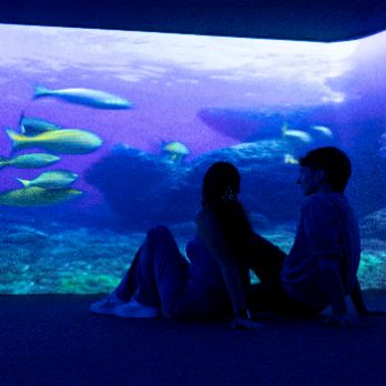 Espai Medes: Un viatge al fons del mar