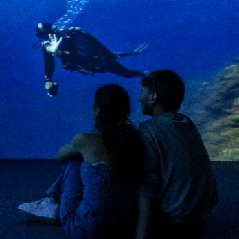 L'Estartit al descobert: Visites comentades de l'Espai Medes i el Parc Natural - Un viatge al fons del mar.