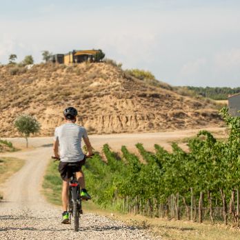 RUTES EN BICICLETA  · PEDALANT ENTRE VINYES