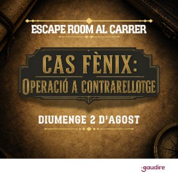 Escape Room Sant Feliu de Guíxols - Cas Fènix: Operació a Contrarellotge