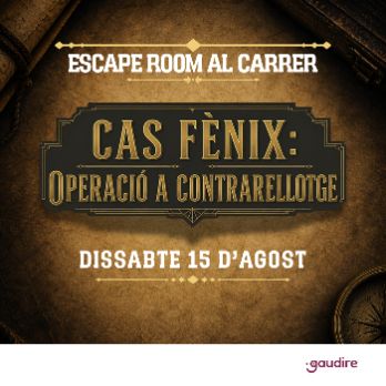 Escape Room Navarcles - Cas Fènix: Operació a Contrarellotge
